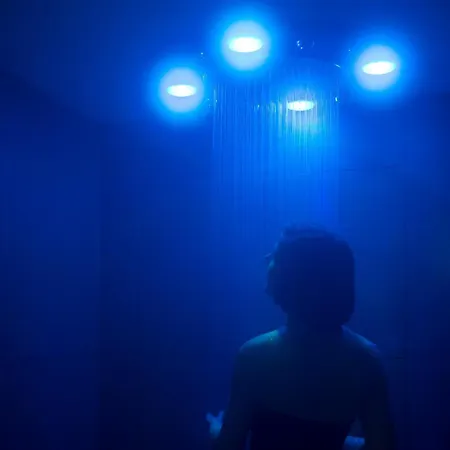 Araucaria & La Plagne