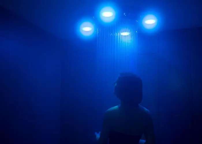 Araucaria & La Plagne