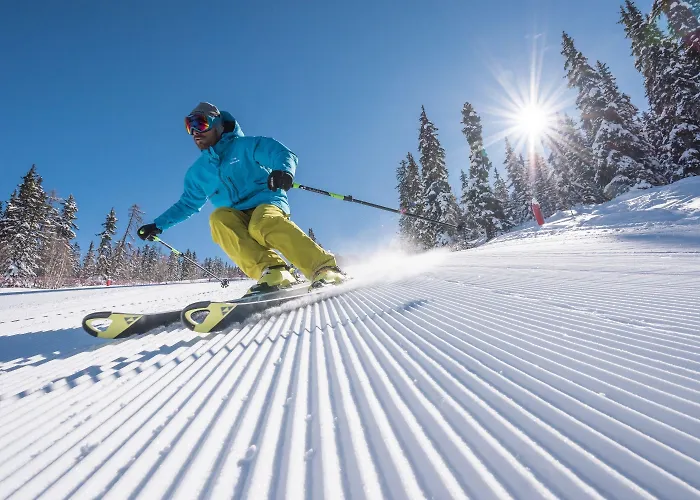 Ξενοδοχείο Araucaria & La Plagne